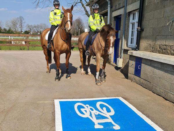 The markings have now become an important part of the training of the horses stabled there.