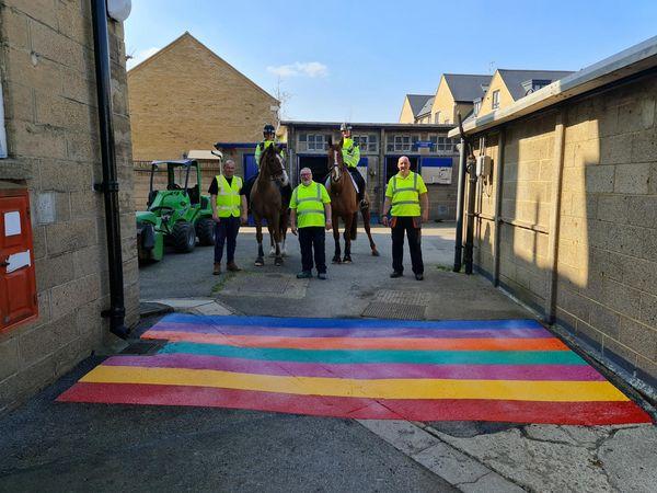 Calming police horses with colourful markings