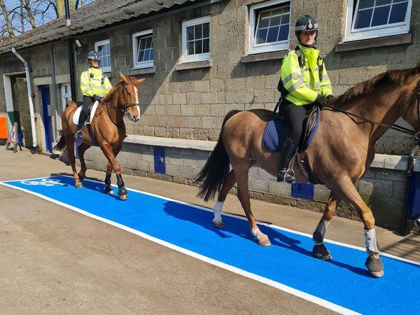 It is hoped that this will help the horses to not become startled on the roads to avoid accidents occurring.